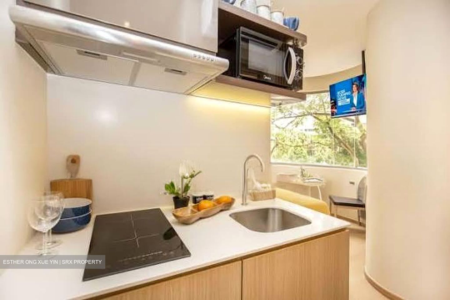 Mount Elizabeth Link (D9), Condominium #611331051